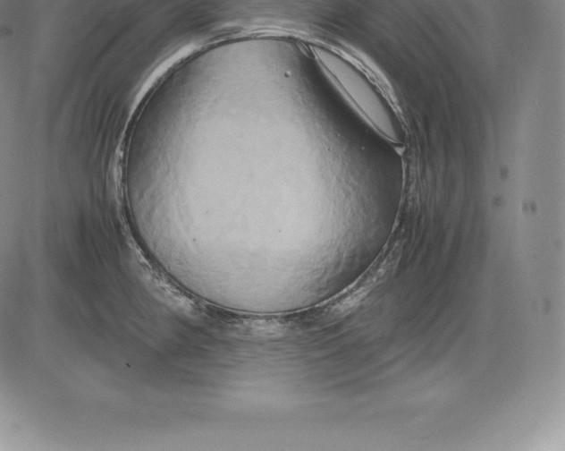 X0000083621190200703051601