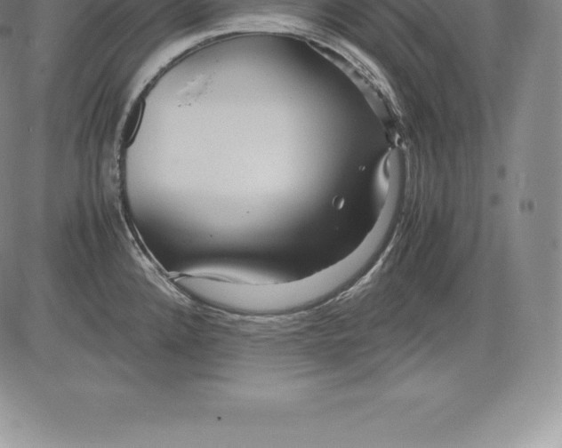 X0000083621192200703051601