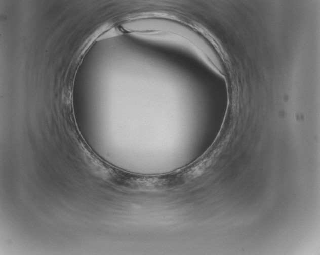 X0000083621193200703051601