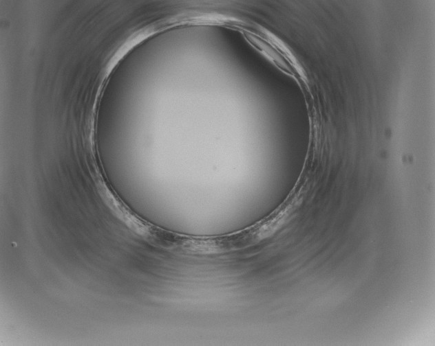 X0000083621194200703051601