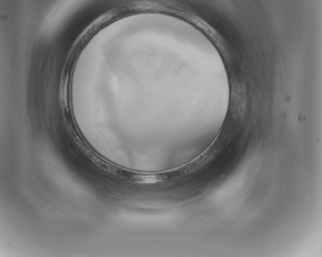 X0000083621199200703051601