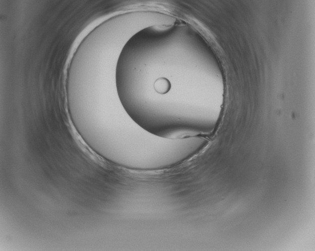 X0000083621200200703051601