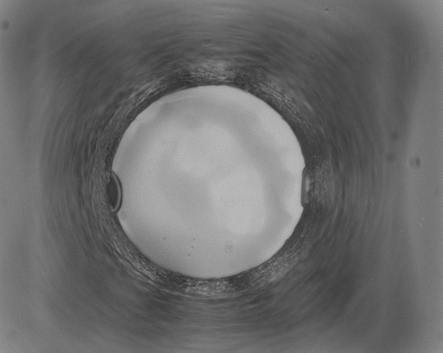 X0000083621201200703051600