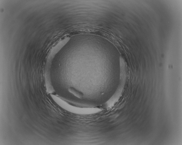 X0000083621202200703051600