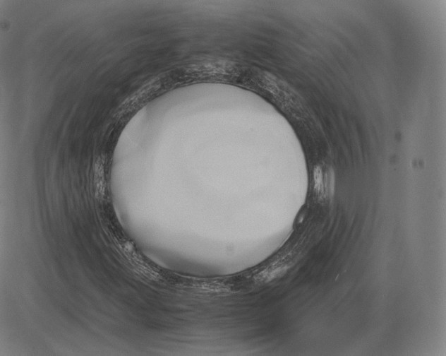 X0000083621203200703051600