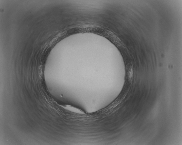 X0000083621204200703051600