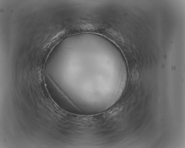 X0000083621205200703051600