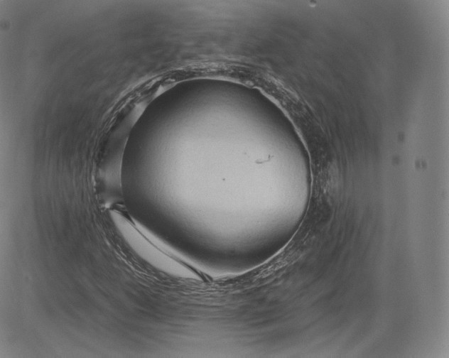 X0000083621206200703051600