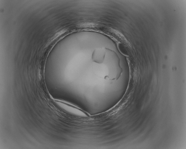 X0000083621209200703051600