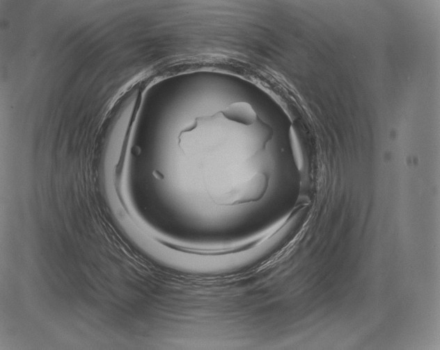 X0000083621210200703051600