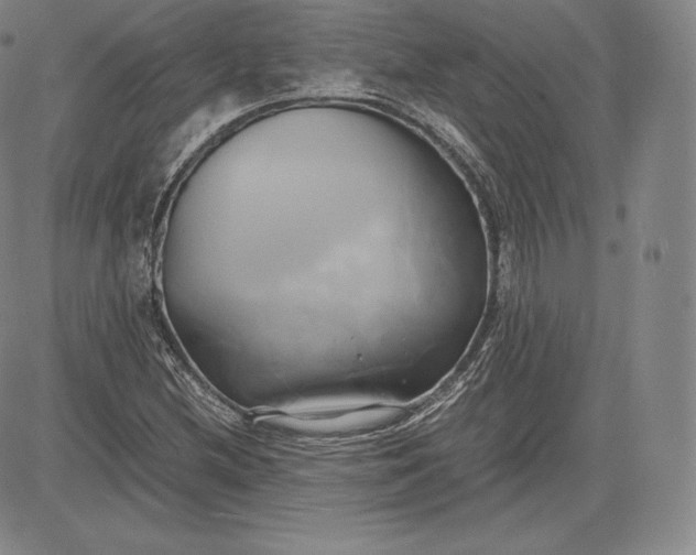 X0000083621212200703051600