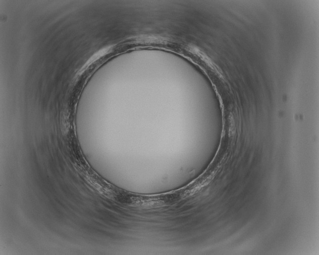 X0000083621213200703051600