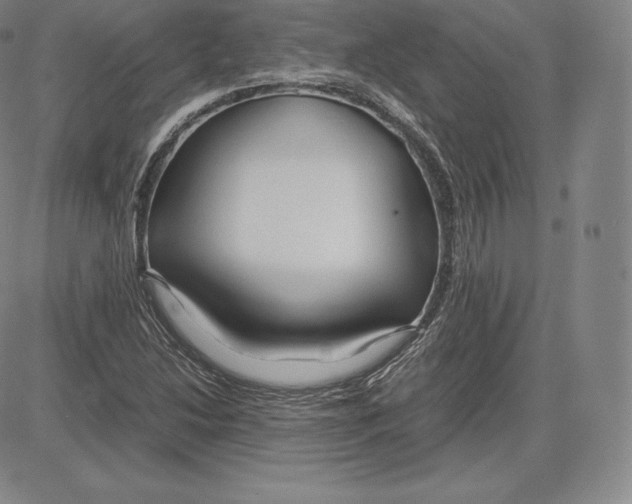 X0000083621214200703051600