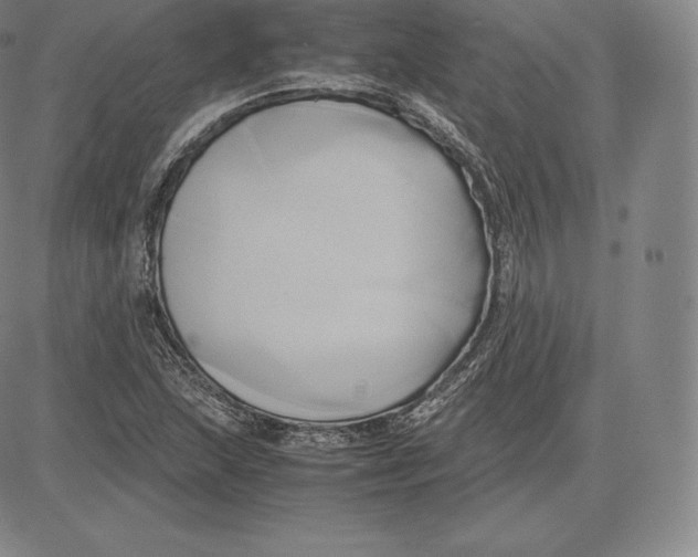 X0000083621215200703051600