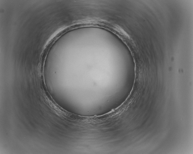 X0000083621216200703051600