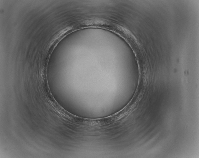 X0000083621217200703051600