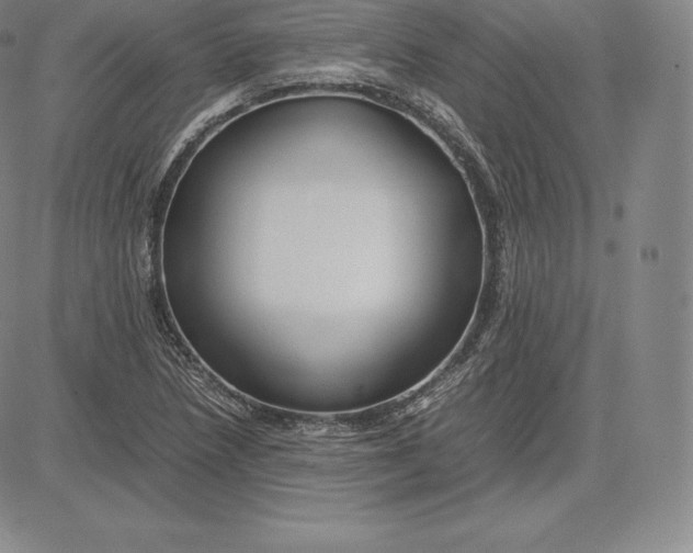 X0000083621218200703051600