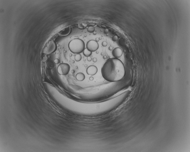 X0000083621219200703051600