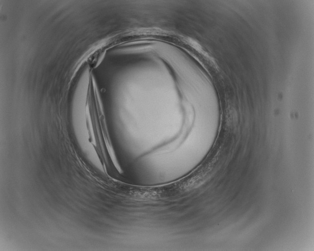 X0000083621221200703051600