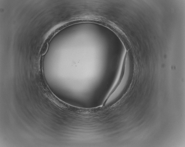 X0000083621222200703051600