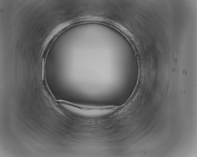 X0000083621223200703051600