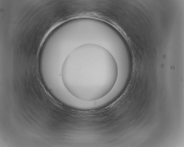 X0000083621224200703051600