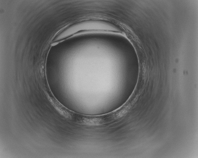 X0000083621225200703051601