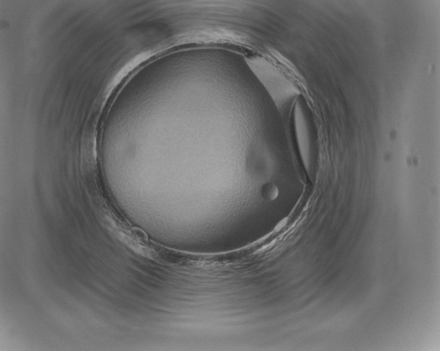 X0000083621226200703051601