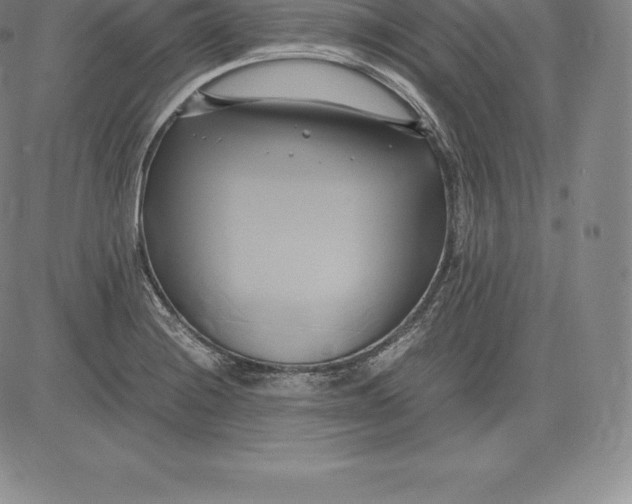 X0000083621228200703051601