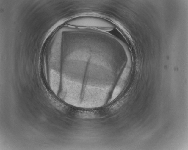 X0000083621229200703051601