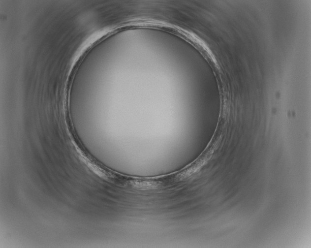 X0000083621231200703051601