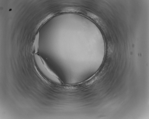 X0000083621233200703051601