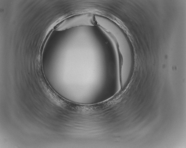 X0000083621234200703051601