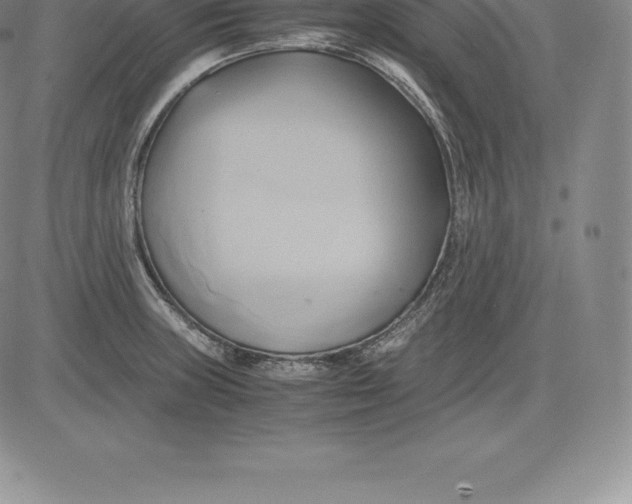 X0000083621235200703051601