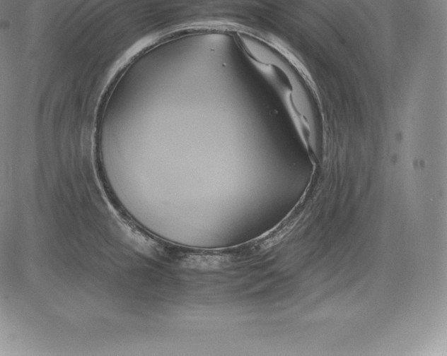 X0000083621237200703051601