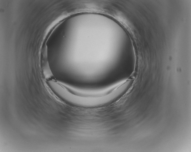 X0000083621238200703051601