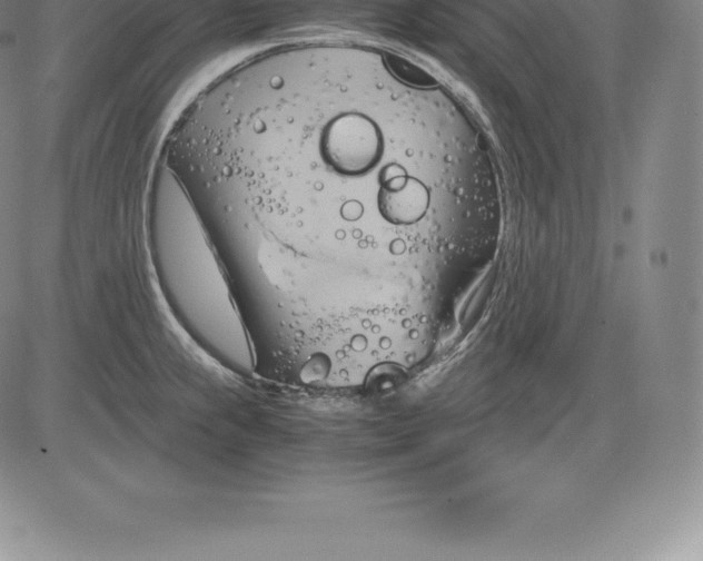 X0000083621239200703051601