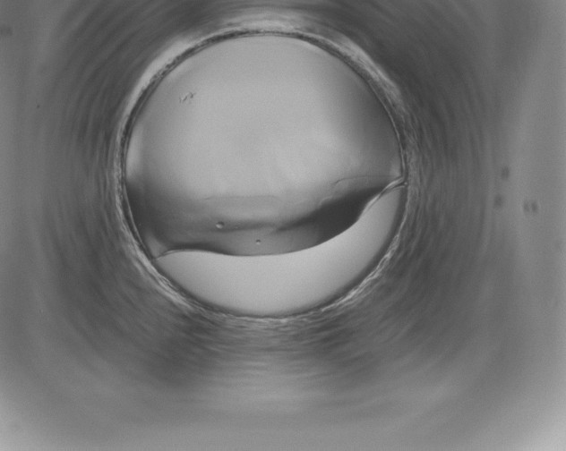 X0000083621240200703051601