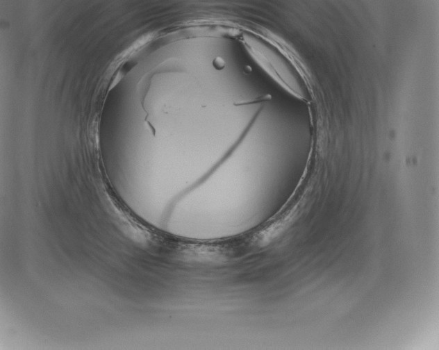 X0000083621241200703051601