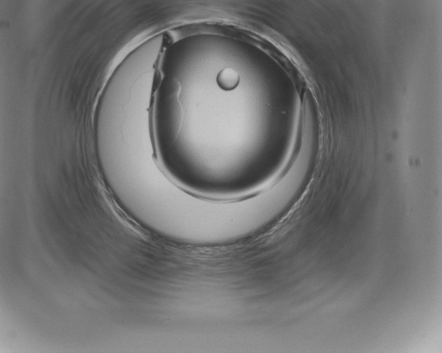 X0000083621242200703051601