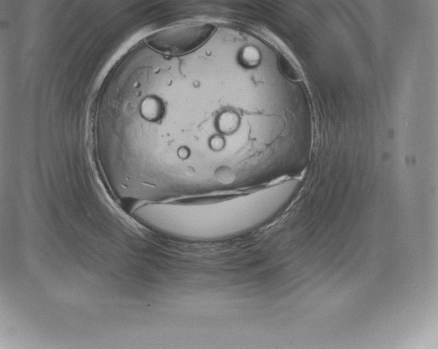 X0000083621243200703051601