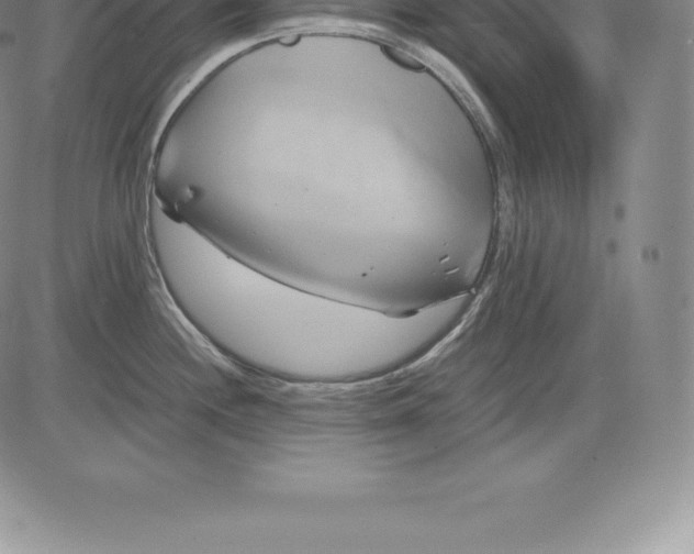 X0000083621244200703051601