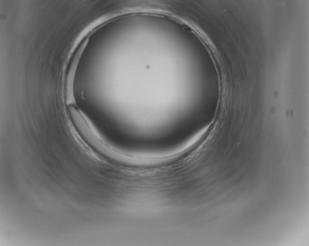 X0000083621246200703051601