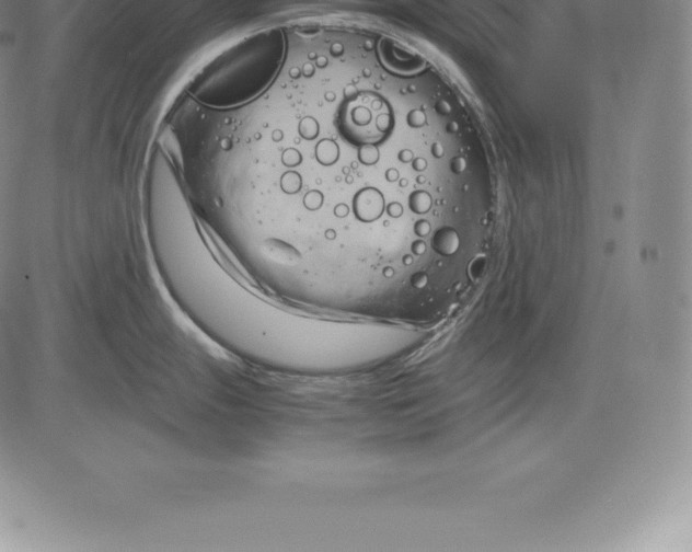 X0000083621247200703051601