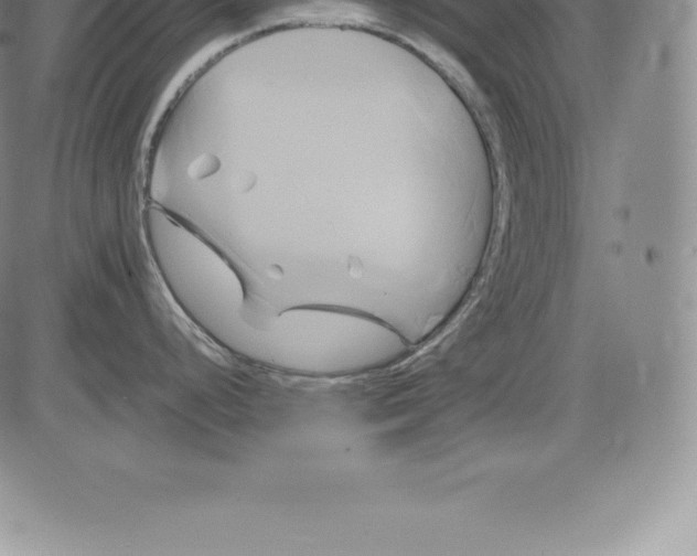 X0000083621248200703051601