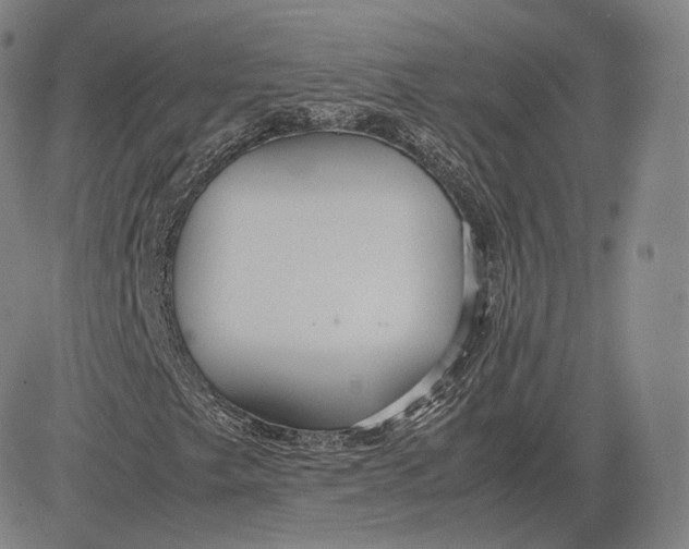 X0000083621249200703051600