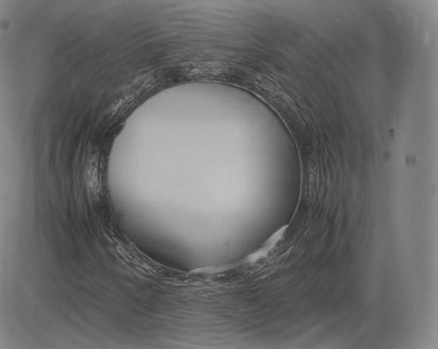 X0000083621250200703051600