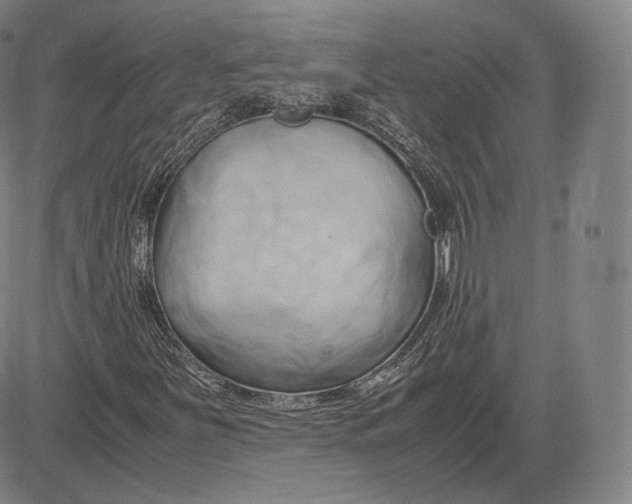 X0000083621251200703051600