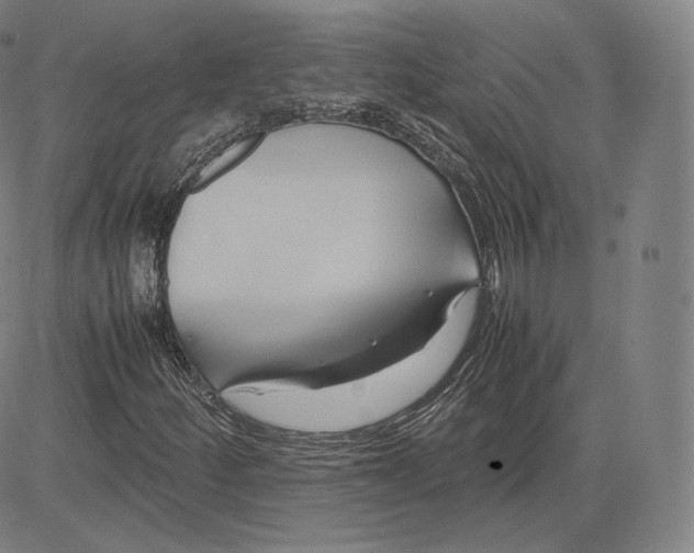 X0000083621252200703051600