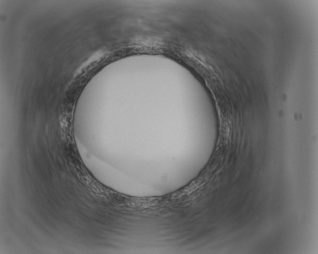 X0000083621254200703051600